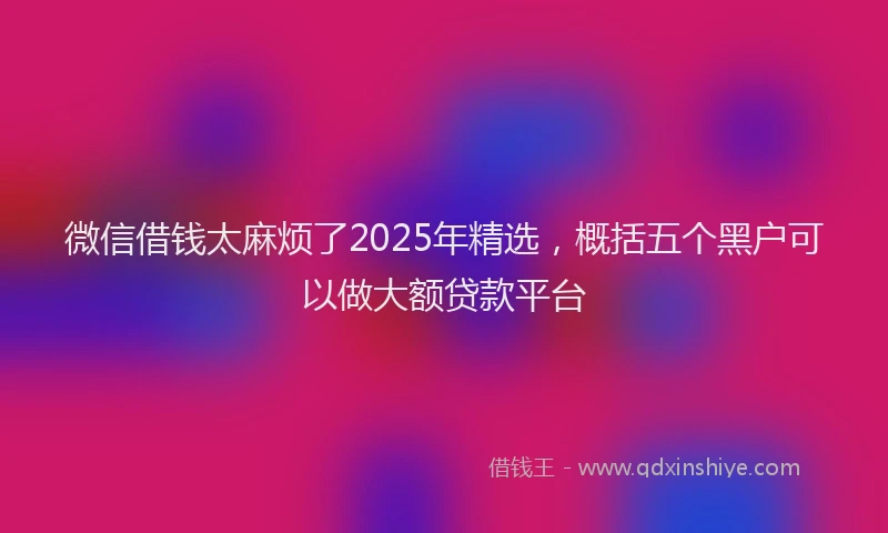 微信借钱太麻烦了2025年精选，概括五个黑户可以做大额贷款平台