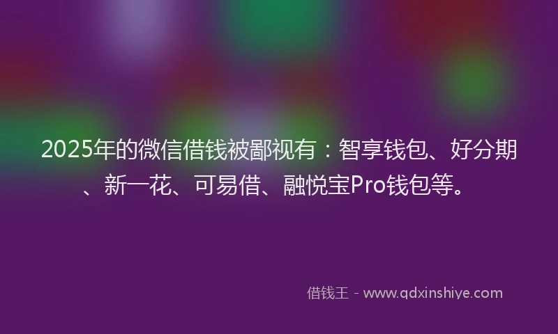 2025年的微信借钱被鄙视有：智享钱包、好分期、新一花、可易借、融悦宝Pro钱包等。