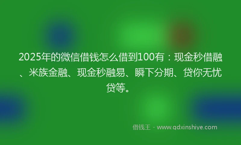 2025年的微信借钱怎么借到100有：现金秒借融、米族金融、现金秒融易、瞬下分期、贷你无忧贷等。