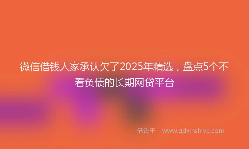 微信借钱人家承认欠了2025年精选，盘点5个不看负债的长期网贷平台