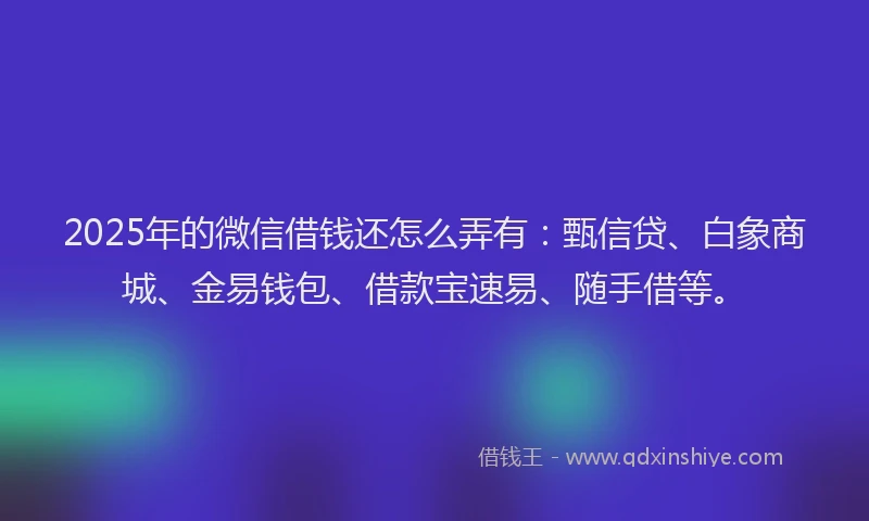 2025年的微信借钱还怎么弄有：甄信贷、白象商城、金易钱包、借款宝速易、随手借等。