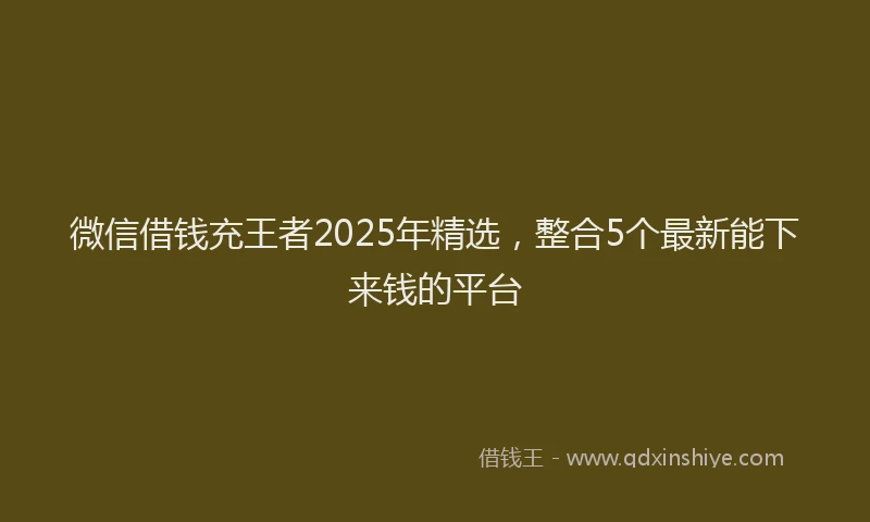 微信借钱充王者2025年精选，整合5个最新能下来钱的平台