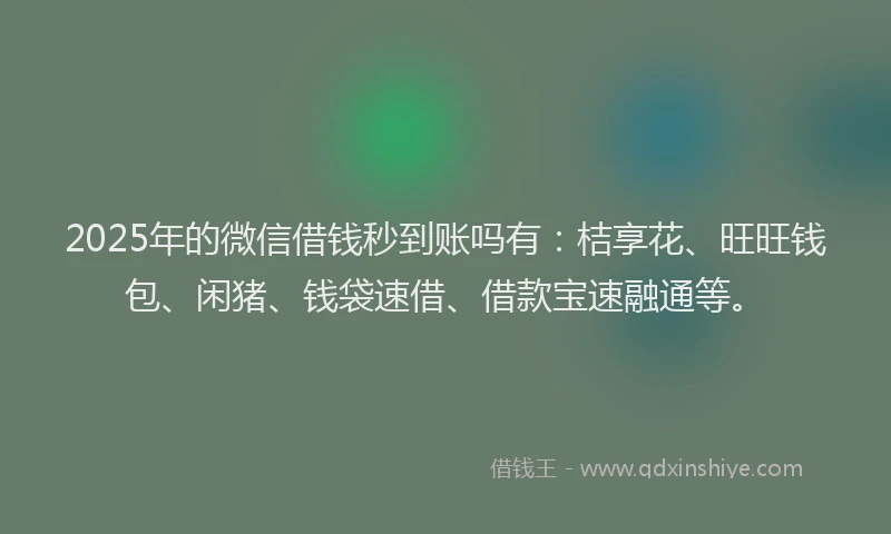 2025年的微信借钱秒到账吗有：桔享花、旺旺钱包、闲猪、钱袋速借、借款宝速融通等。