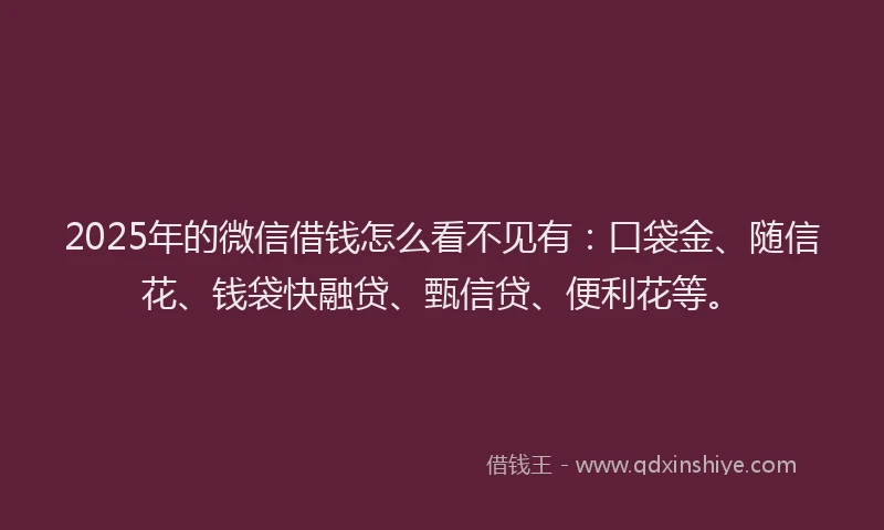 2025年的微信借钱怎么看不见有：口袋金、随信花、钱袋快融贷、甄信贷、便利花等。