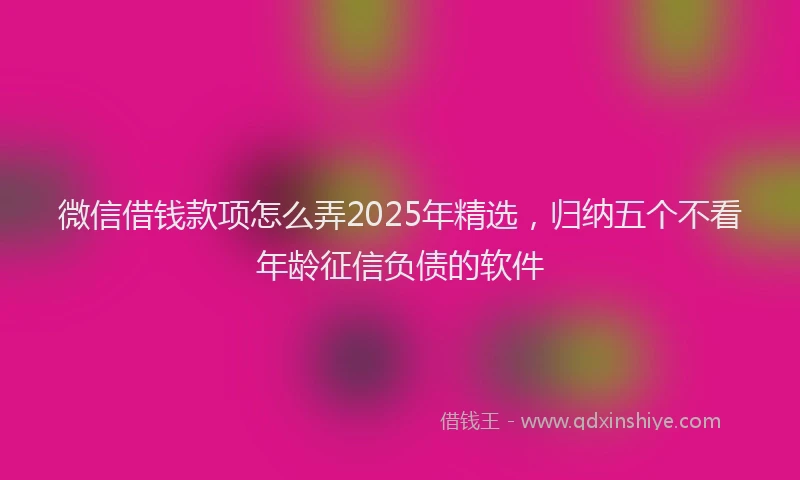 微信借钱款项怎么弄2025年精选，归纳五个不看年龄征信负债的软件