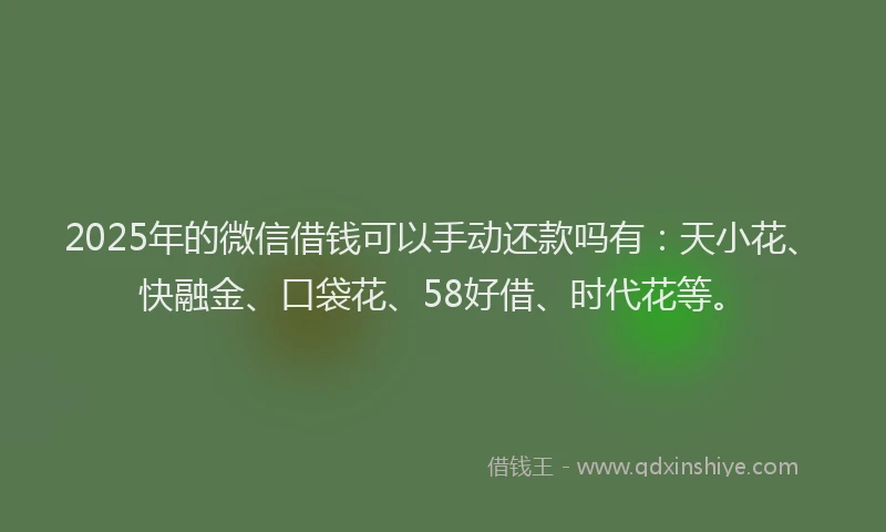 2025年的微信借钱可以手动还款吗有：天小花、快融金、口袋花、58好借、时代花等。
