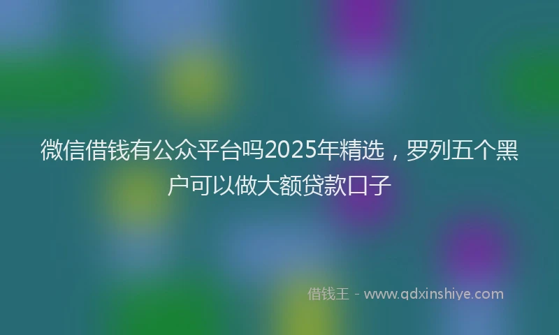 微信借钱有公众平台吗2025年精选，罗列五个黑户可以做大额贷款口子