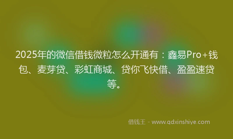 2025年的微信借钱微粒怎么开通有：鑫易Pro+钱包、麦芽贷、彩虹商城、贷你飞快借、盈盈速贷等。