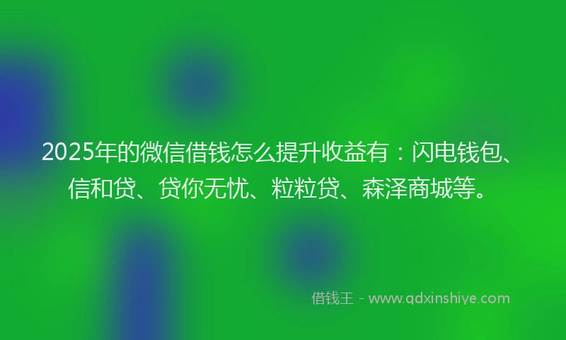 2025年的微信借钱怎么提升收益有：闪电钱包、信和贷、贷你无忧、粒粒贷、森泽商城等。