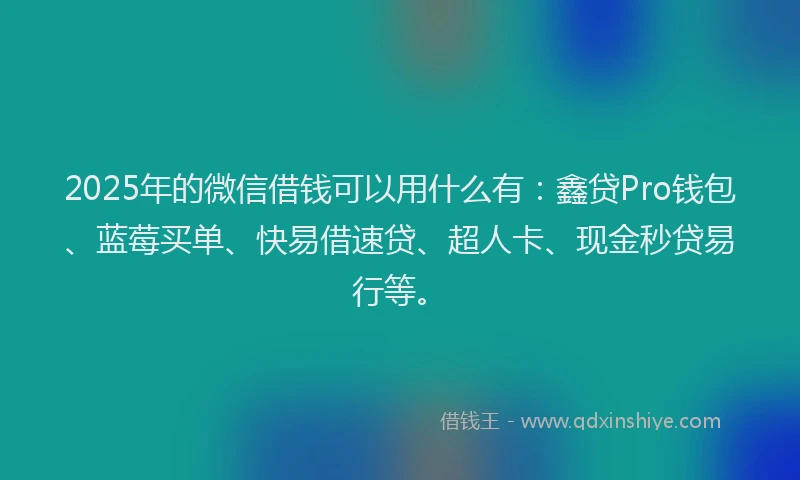 2025年的微信借钱可以用什么有：鑫贷Pro钱包、蓝莓买单、快易借速贷、超人卡、现金秒贷易行等。