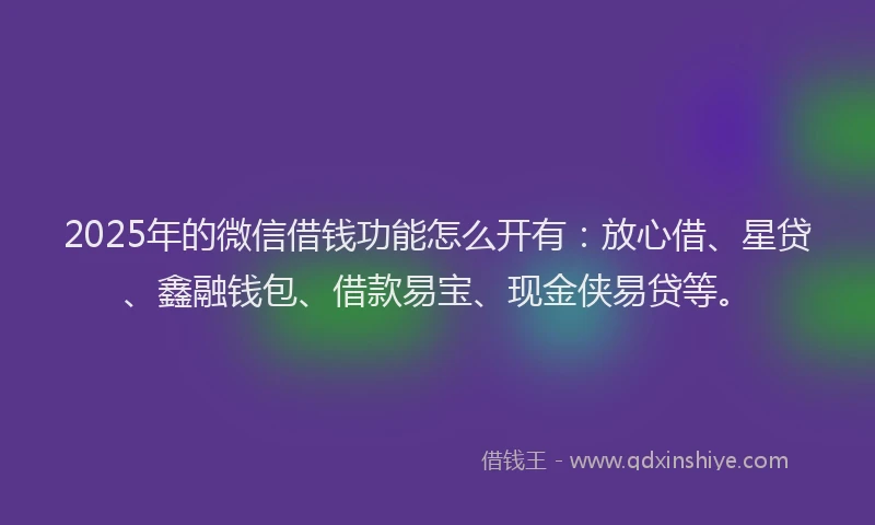 2025年的微信借钱功能怎么开有：放心借、星贷、鑫融钱包、借款易宝、现金侠易贷等。
