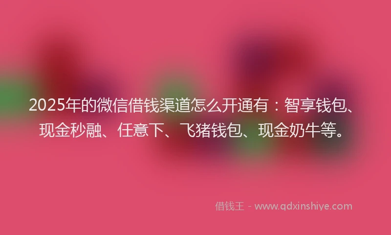 2025年的微信借钱渠道怎么开通有：智享钱包、现金秒融、任意下、飞猪钱包、现金奶牛等。