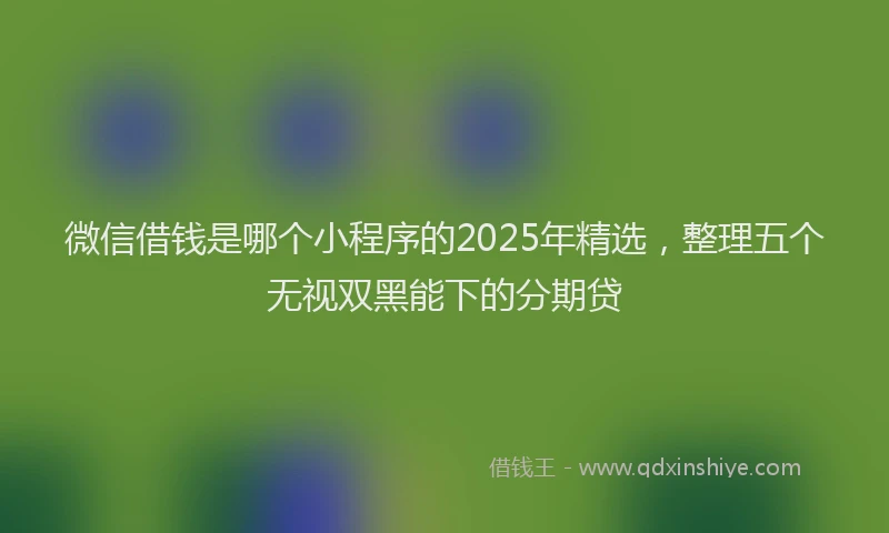 微信借钱是哪个小程序的2025年精选，整理五个无视双黑能下的分期贷