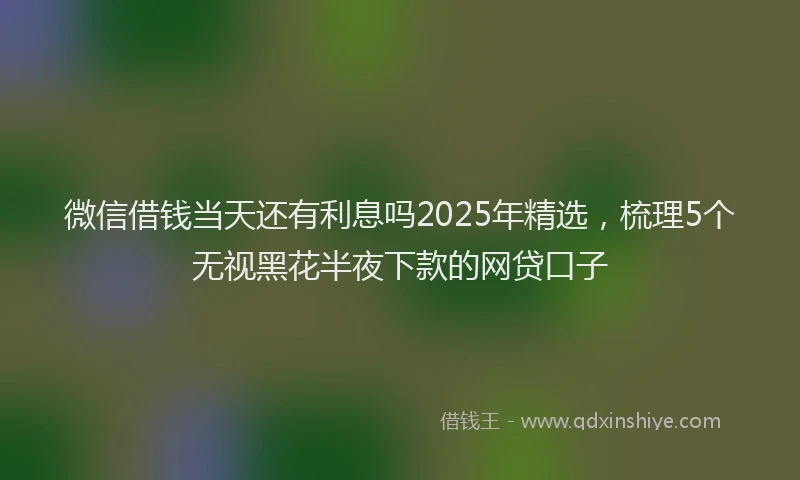 微信借钱当天还有利息吗2025年精选，梳理5个无视黑花半夜下款的网贷口子