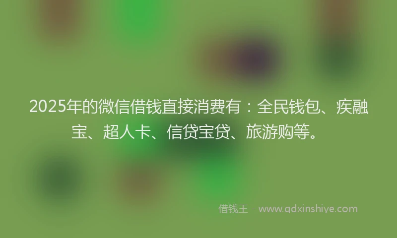 2025年的微信借钱直接消费有：全民钱包、疾融宝、超人卡、信贷宝贷、旅游购等。