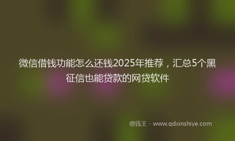 微信借钱功能怎么还钱2025年推荐，汇总5个黑征信也能贷款的网贷软件