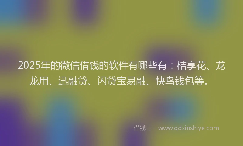2025年的微信借钱的软件有哪些有：桔享花、龙龙用、迅融贷、闪贷宝易融、快鸟钱包等。