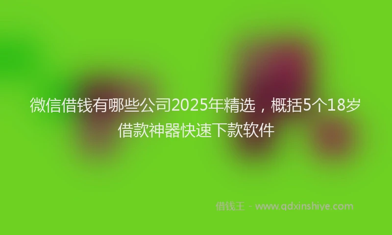 微信借钱有哪些公司2025年精选，概括5个18岁借款神器快速下款软件