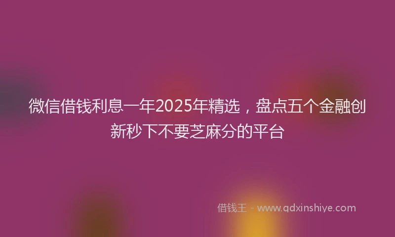 微信借钱利息一年2025年精选，盘点五个金融创新秒下不要芝麻分的平台