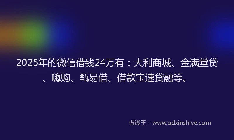 2025年的微信借钱24万有：大利商城、金满堂贷、嗨购、甄易借、借款宝速贷融等。