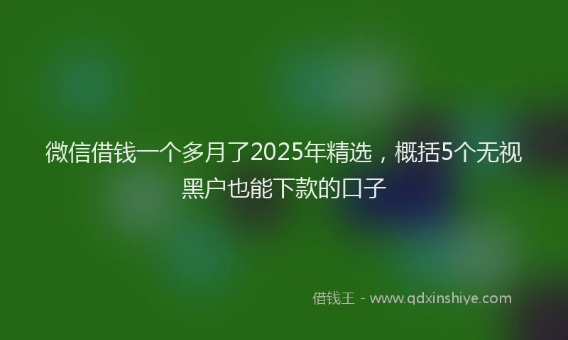 微信借钱一个多月了2025年精选，概括5个无视黑户也能下款的口子