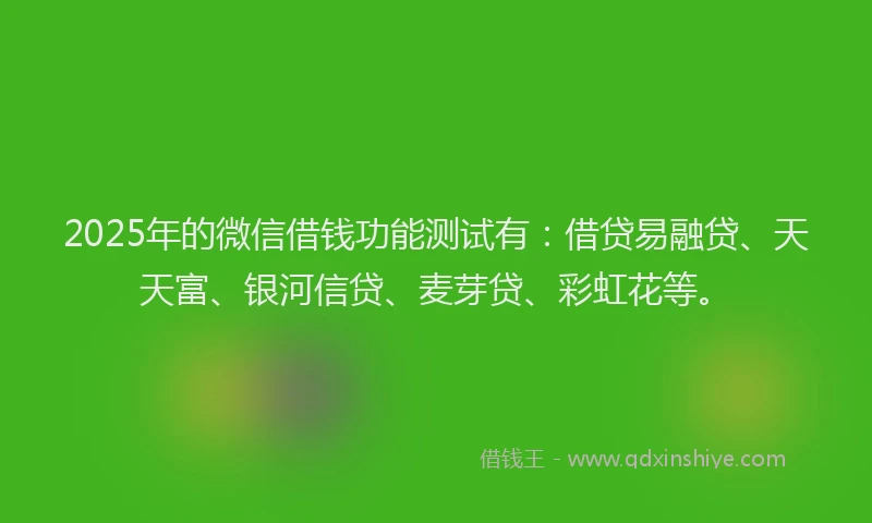 2025年的微信借钱功能测试有：借贷易融贷、天天富、银河信贷、麦芽贷、彩虹花等。