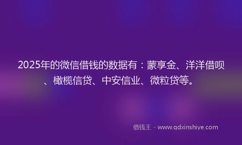 2025年的微信借钱的数据有：蒙享金、洋洋借呗、橄榄信贷、中安信业、微粒贷等。