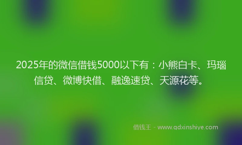 2025年的微信借钱5000以下有：小熊白卡、玛瑙信贷、微博快借、融逸速贷、天源花等。