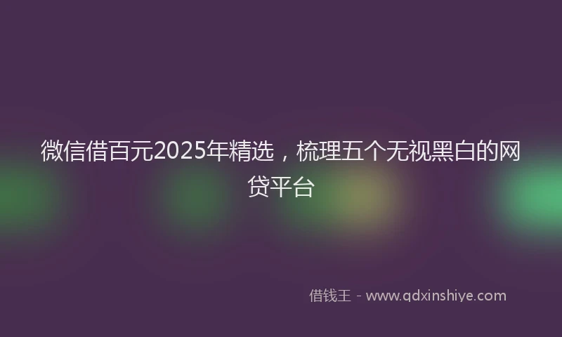 微信借百元2025年精选，梳理五个无视黑白的网贷平台