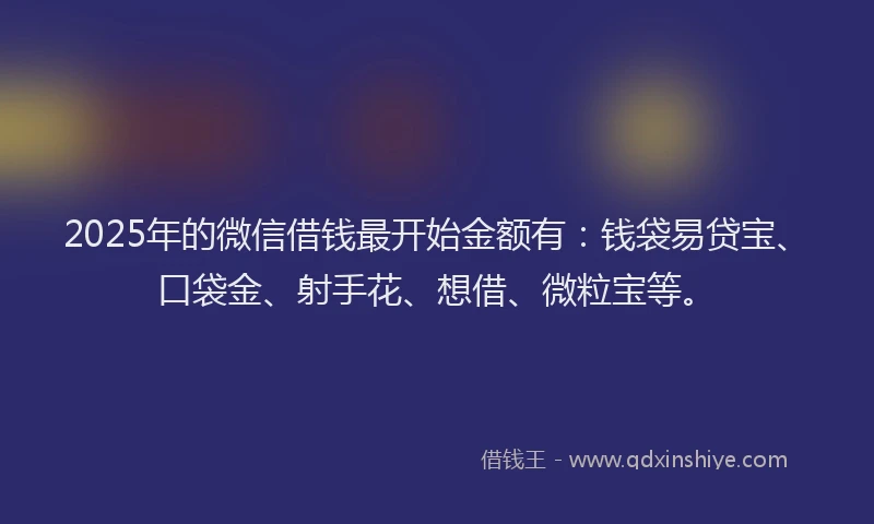 2025年的微信借钱最开始金额有：钱袋易贷宝、口袋金、射手花、想借、微粒宝等。