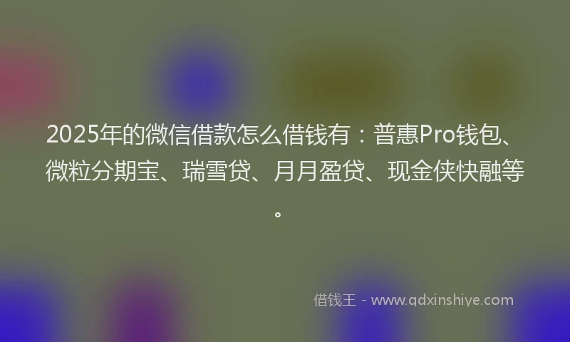 2025年的微信借款怎么借钱有：普惠Pro钱包、微粒分期宝、瑞雪贷、月月盈贷、现金侠快融等。