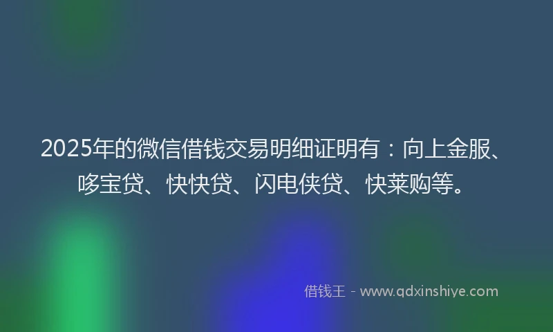 2025年的微信借钱交易明细证明有：向上金服、哆宝贷、快快贷、闪电侠贷、快莱购等。
