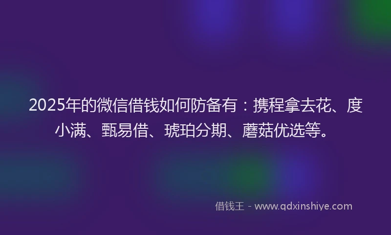 2025年的微信借钱如何防备有：携程拿去花、度小满、甄易借、琥珀分期、蘑菇优选等。