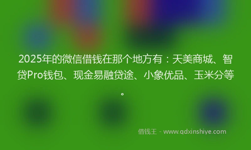 2025年的微信借钱在那个地方有：天美商城、智贷Pro钱包、现金易融贷途、小象优品、玉米分等。