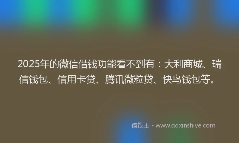 2025年的微信借钱功能看不到有：大利商城、瑞信钱包、信用卡贷、腾讯微粒贷、快鸟钱包等。