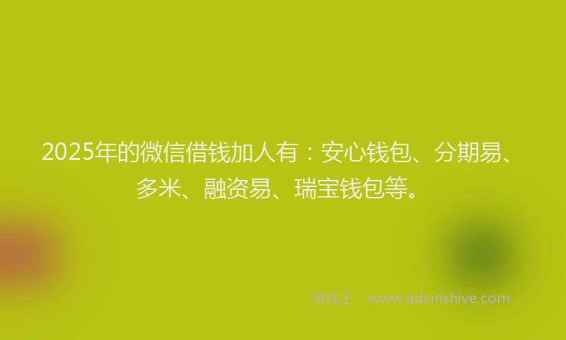 2025年的微信借钱加人有：安心钱包、分期易、多米、融资易、瑞宝钱包等。