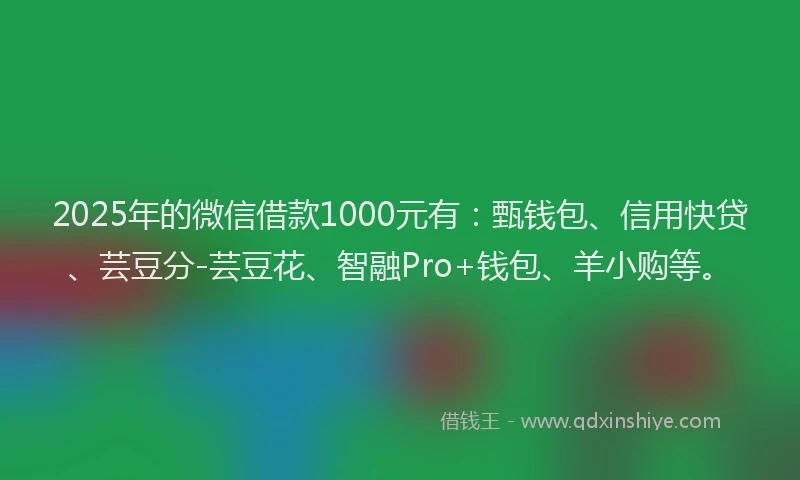 2025年的微信借款1000元有：甄钱包、信用快贷、芸豆分-芸豆花、智融Pro+钱包、羊小购等。