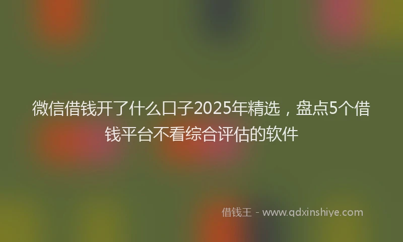 微信借钱开了什么口子2025年精选，盘点5个借钱平台不看综合评估的软件