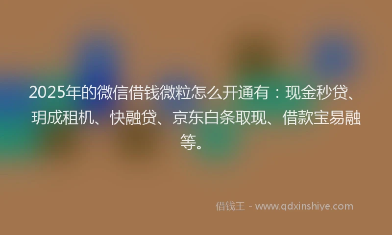 2025年的微信借钱微粒怎么开通有：现金秒贷、玥成租机、快融贷、京东白条取现、借款宝易融等。