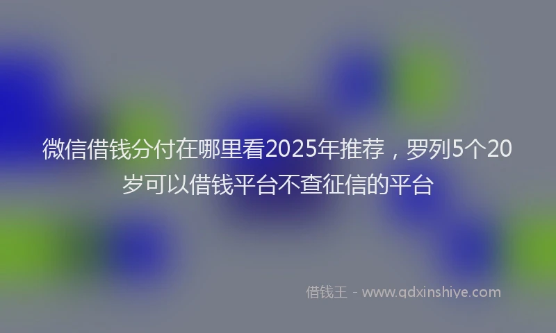 微信借钱分付在哪里看2025年推荐，罗列5个20岁可以借钱平台不查征信的平台