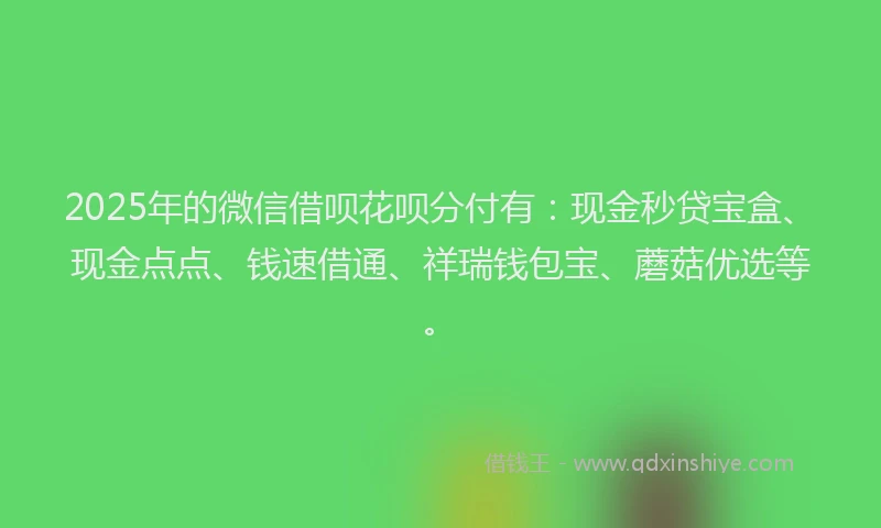 2025年的微信借呗花呗分付有：现金秒贷宝盒、现金点点、钱速借通、祥瑞钱包宝、蘑菇优选等。