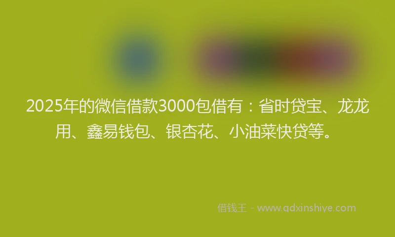 2025年的微信借款3000包借有：省时贷宝、龙龙用、鑫易钱包、银杏花、小油菜快贷等。