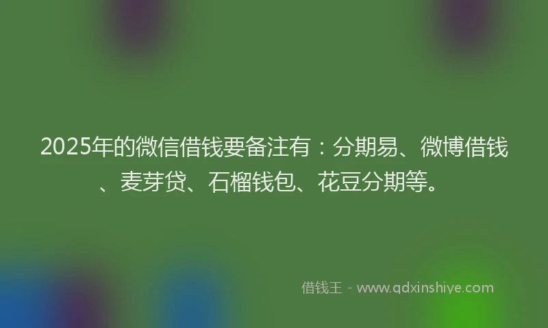 2025年的微信借钱要备注有：分期易、微博借钱、麦芽贷、石榴钱包、花豆分期等。