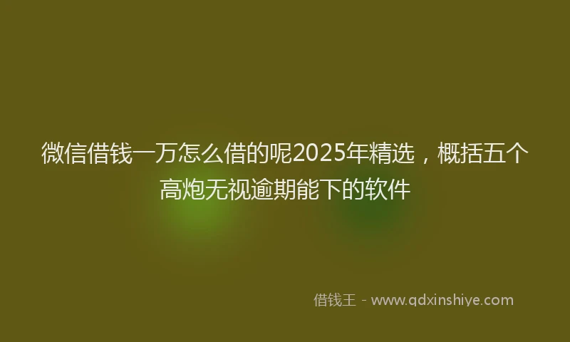 微信借钱一万怎么借的呢2025年精选，概括五个高炮无视逾期能下的软件