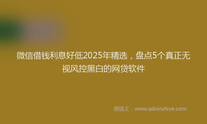 微信借钱利息好低2025年精选，盘点5个真正无视风控黑白的网贷软件