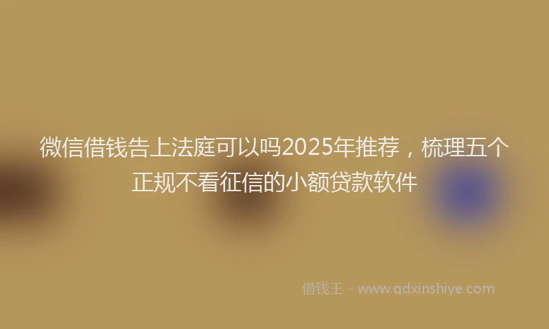 微信借钱告上法庭可以吗2025年推荐，梳理五个正规不看征信的小额贷款软件