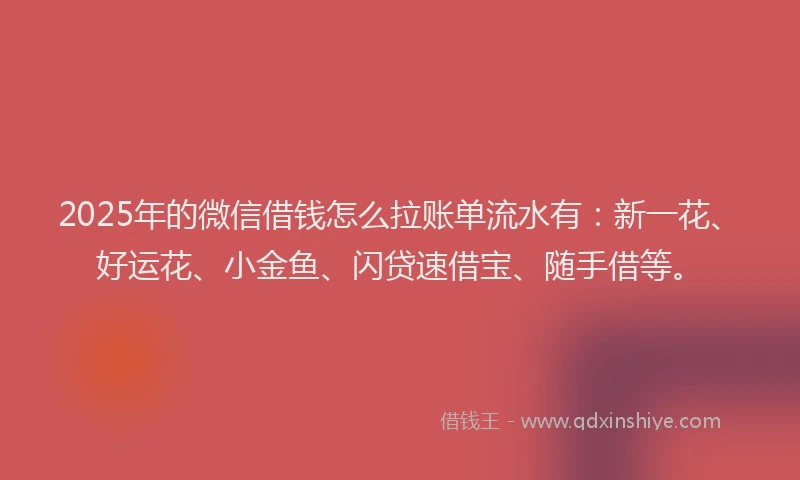 2025年的微信借钱怎么拉账单流水有：新一花、好运花、小金鱼、闪贷速借宝、随手借等。