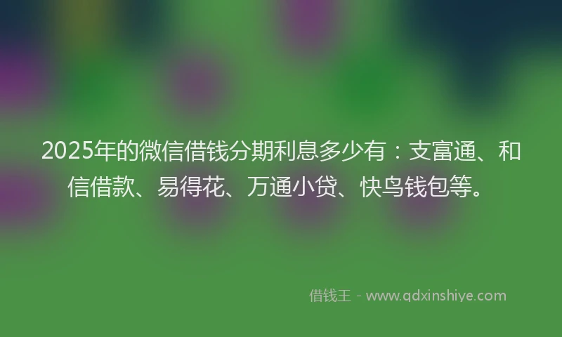 2025年的微信借钱分期利息多少有：支富通、和信借款、易得花、万通小贷、快鸟钱包等。