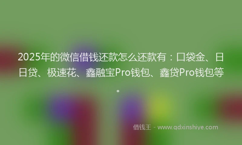 2025年的微信借钱还款怎么还款有：口袋金、日日贷、极速花、鑫融宝Pro钱包、鑫贷Pro钱包等。