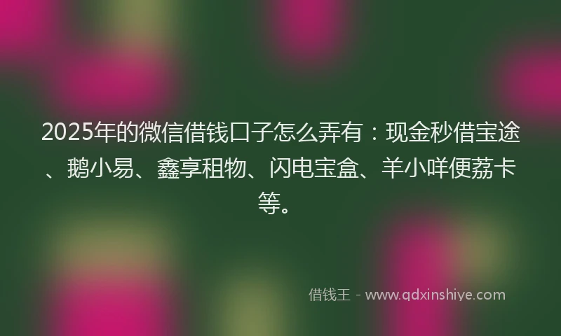 2025年的微信借钱口子怎么弄有：现金秒借宝途、鹅小易、鑫享租物、闪电宝盒、羊小咩便荔卡等。